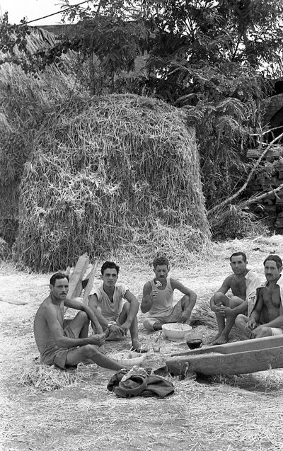 HAMPPROSESSERING, RASK FORFRISKNING av Ando Gilardi