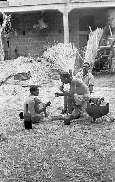 HAMPPROSESSERING, FROKOST PÅ JOBBEN av Ando Gilardi