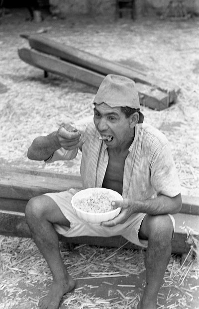 HAMPPROSESSERING, MAKARONIPAUSE av Ando Gilardi