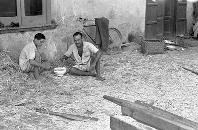 HAMPPROSESSERING, DELT SUPPE av Ando Gilardi