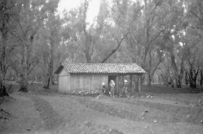 LY I OLIVENLUNDEN av Ando Gilardi