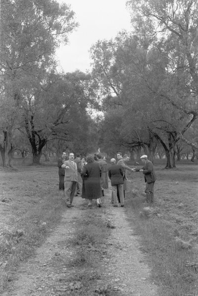 Fagforeningsmedlemmer i Olive Grove av Ando Gilardi