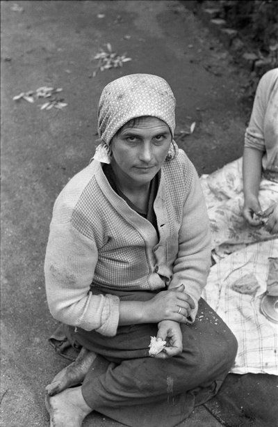 OLIVENSAMLERENS LUNSJ av Ando Gilardi