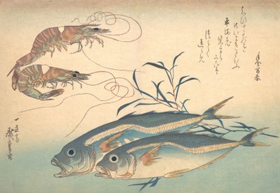 Aji Fish and Kuruma-ebi, fra serien Uozukushi Every Variety of Fish, 1830-tallet, 1830-tallet. av Ando Hiroshige