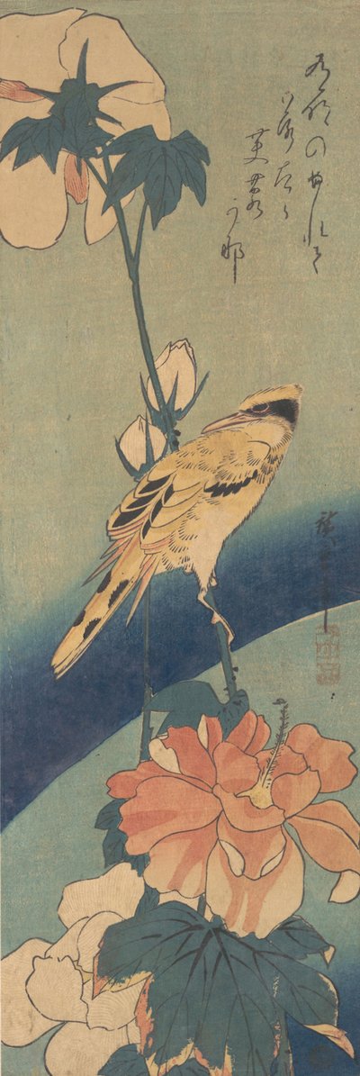 Svart-naped Oriole plassert på en stilk av rosemallow, ca. 1834., ca. 1834. av Ando Hiroshige