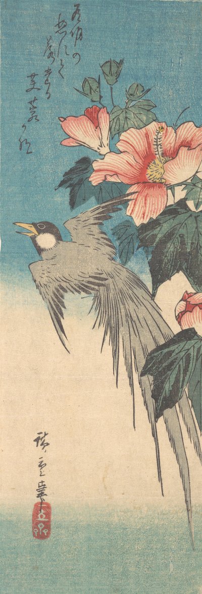 Hibiscus Mutabilis og langhalefugl, ca. 1842., ca. 1842. av Ando Hiroshige