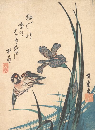 Iris og Sparrow, ca. 1832., ca. 1832. av Ando Hiroshige