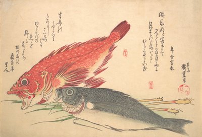 Isaki og Kasago Fish, fra serien Uozukushi Every Variety of Fish, 1830-tallet, 1830-tallet. av Ando Hiroshige