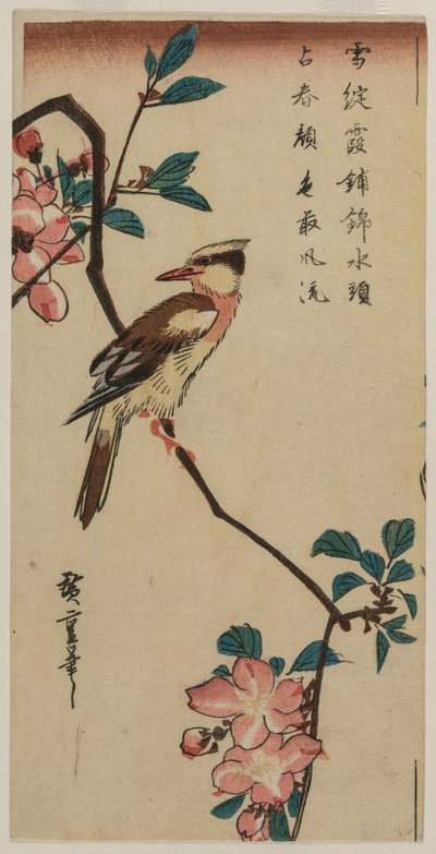 Koreansk nattergal på Cherry Branch, tidlig eller midten av 1830-tallet. av Ando Hiroshige