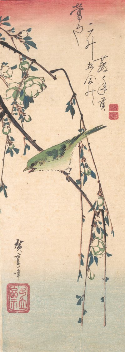 Sanger på en plommegren, ca. 1835., ca. 1835. av Ando Hiroshige