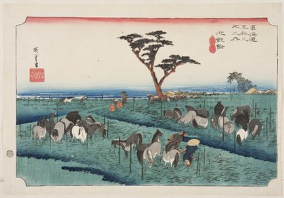 Chiry?: Early Summer Horse Fair (Chiry?, shuka uma ichi) (treblokktrykk i farger) av Ando or Utagawa Hiroshige