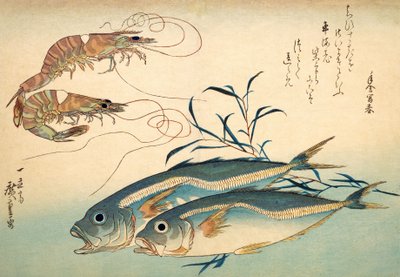 Japansk hestemakrell og japansk tigerreke (farget treblokktrykk) av Ando or Utagawa Hiroshige