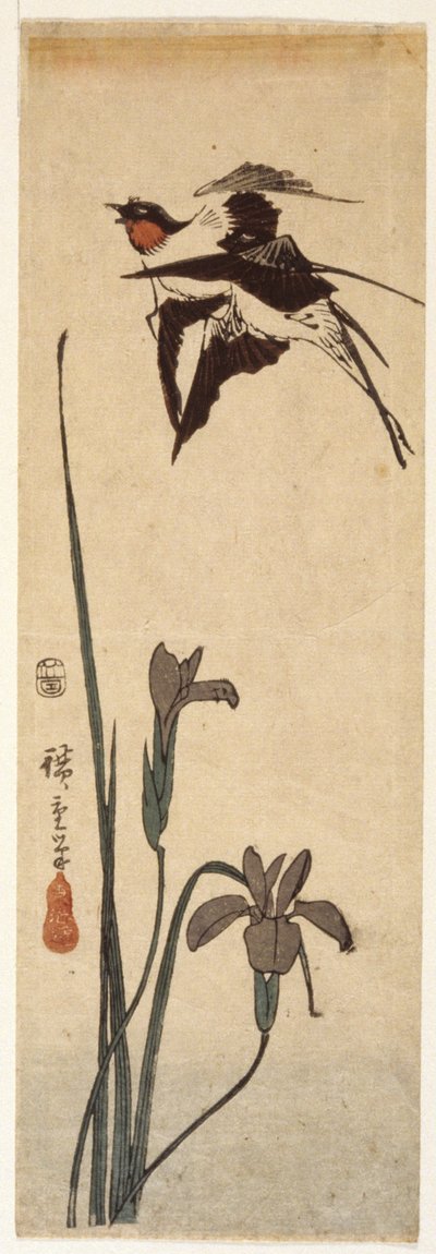 Swallows And Iris (farget treblokktrykk) av Ando or Utagawa Hiroshige