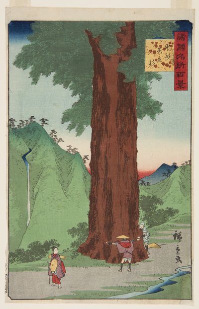 Yatate Cedar Tree i Kai-provinsen (K?sh? Yatate sugi) (treblokktrykk i farger) av Ando or Utagawa Hiroshige