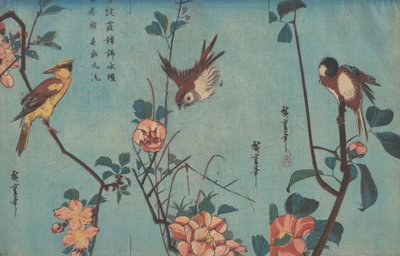 Meiser og kameliaer, spurv og ville roser og svartnapet oriole og kirsebærblomster, ca. 1833 (treblokktrykk) av Ando or Utagawa Hiroshige