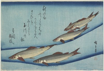Ørret av Ando or Utagawa Hiroshige
