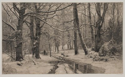 Vinterdag i en skog av André Bork