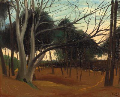  av Andre Derain