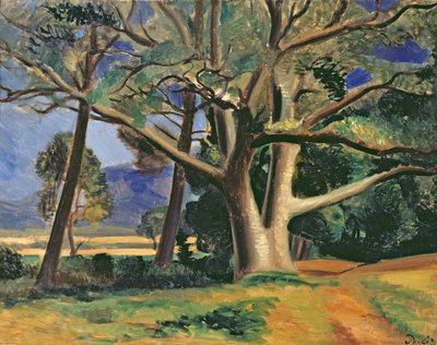  av Andre Derain