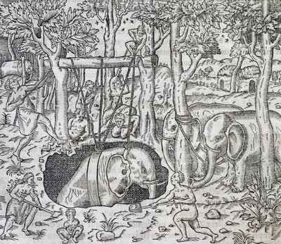 Elefantjakt på øya Java, gravering fra Universal Cosmology, av Andre Thevet (1504-1592), Paris av Andre Thevet