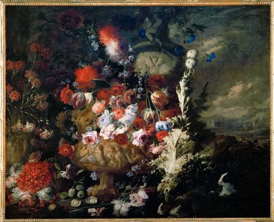  av Andrea Belvedere