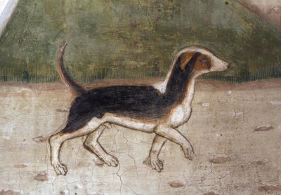 Atri, katedral, hund / freskomaleri av A.Delitio av Andrea Delitio