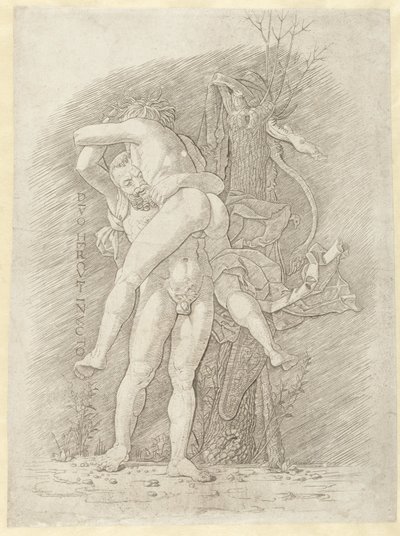 Hercules en Antaeus Divo Hercules invincto (tittel på objekt) av Andrea Mantegna (school of)