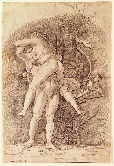 Hercules og Antaeus, av Andrea Mantegna (1431-1506), tegning. av Andrea Mantegna