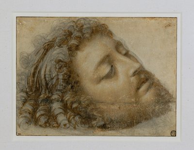 av Andrea Solario