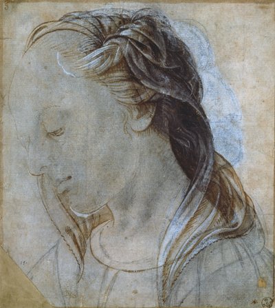 Kvinnelig hode (tegning) av Andrea Verrocchio