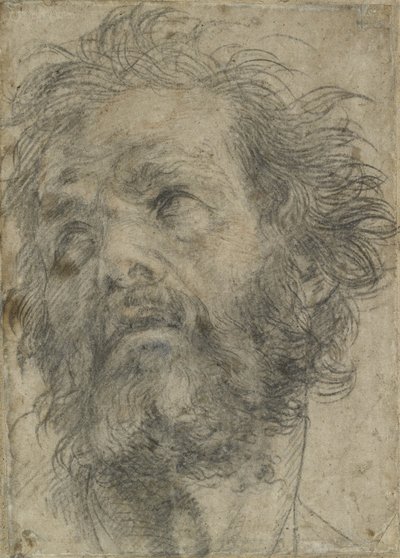 A Head of a Man, (svart kritt på papir) av Andrea del Sarto