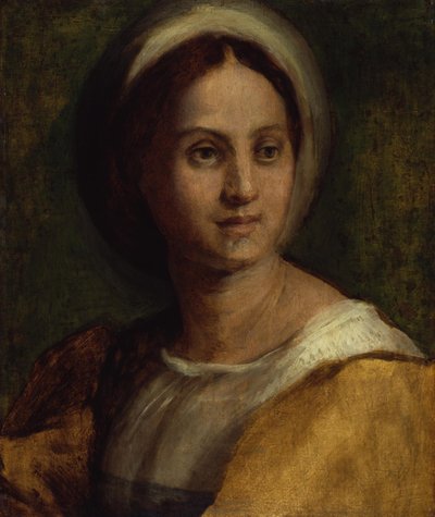 Portrett av en ung kvinne av Andrea del Sarto