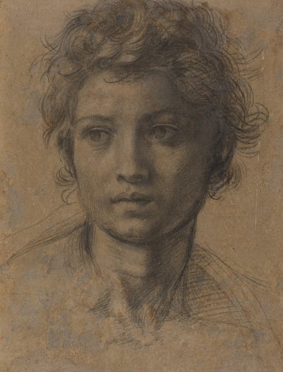 Hodet til døperen Johannes av Andrea del Sarto