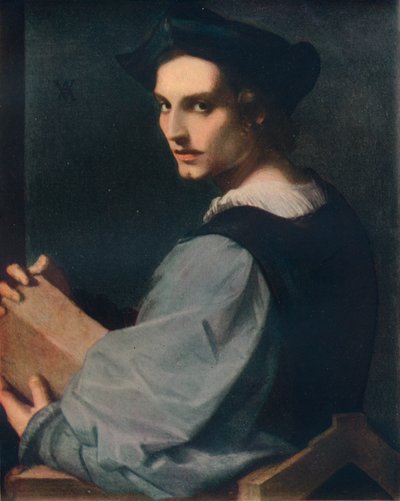 Portrett av en ung mann, c1517, 1911 av Andrea del Sarto