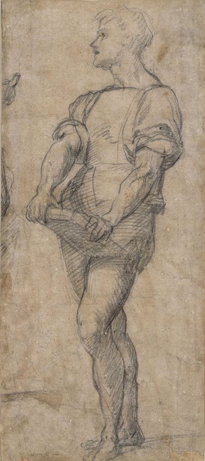 Stående ungdom som holder en bok, ca 1515 av Andrea del Sarto