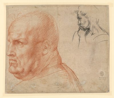 Studie av to hoder av Andrea del Sarto