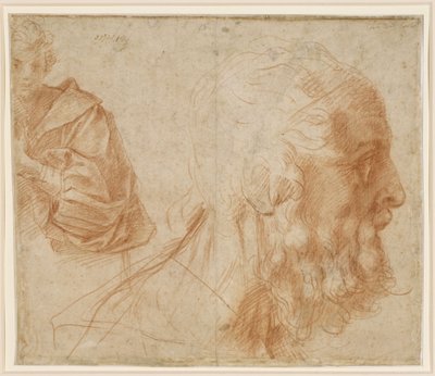 Studieark med en ung mann og hodet av en gammel mann vendt mot høyre (Homer?) av Andrea del Sarto