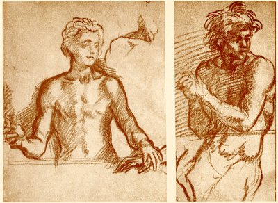 Studier av Kristi skikkelse av Andrea del Sarto