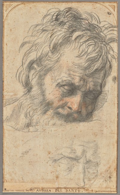  av Andrea del Sarto