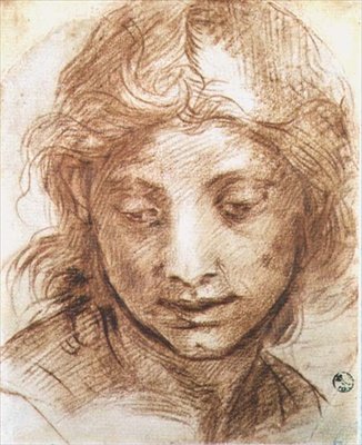 Studie av hodet til en ung kvinne (kritt) av Andrea del Sarto
