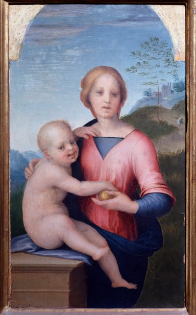 Jomfru med barn (maleri av Andrea del Sarto