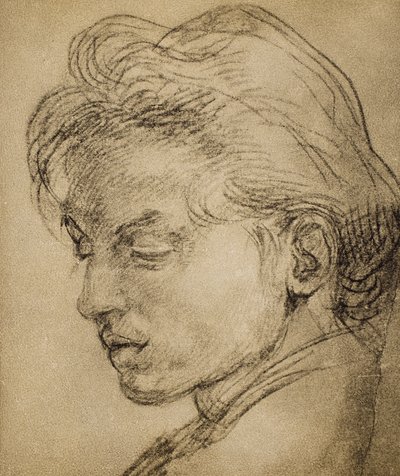 Virilt hode i profil av Andrea del Sarto