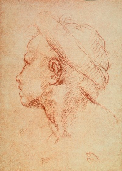 Ungdomshode i profil av Andrea del Sarto