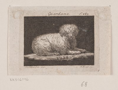 Giordano, en liggende hund av Andreas Flint