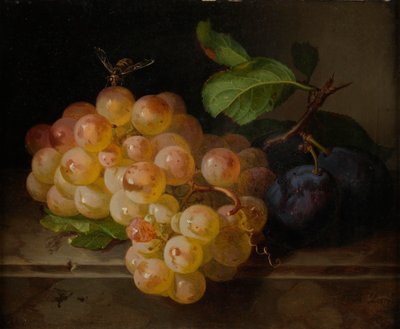 Stilleben med frukt med en bie av Andreas Lach
