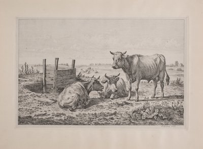 En tyr og to køer   1282481   no       norwegian Successfully Translated  Original: Le Cheval (watercolor) Translat: Le Cheval (watercolor) 1411909 no norwegian Successfully Translated Original: Barcelona, from Montjuich (colour litho) Translat: Barcelona, av Andreas Peter Madsen