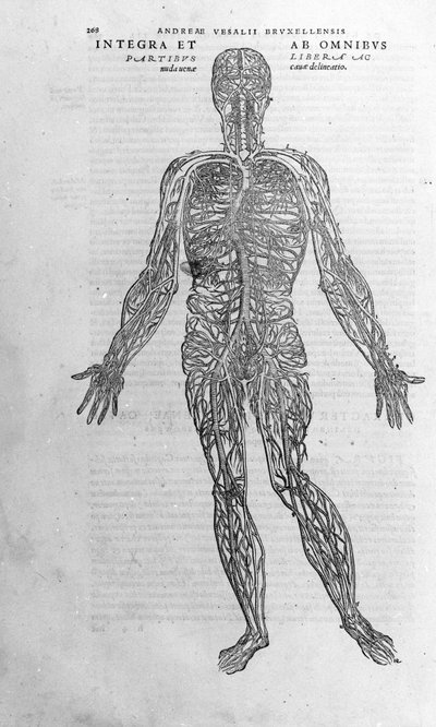 Andrea Vesalio (1514 - 1564), lege til Charles V av Andreas Vesalius