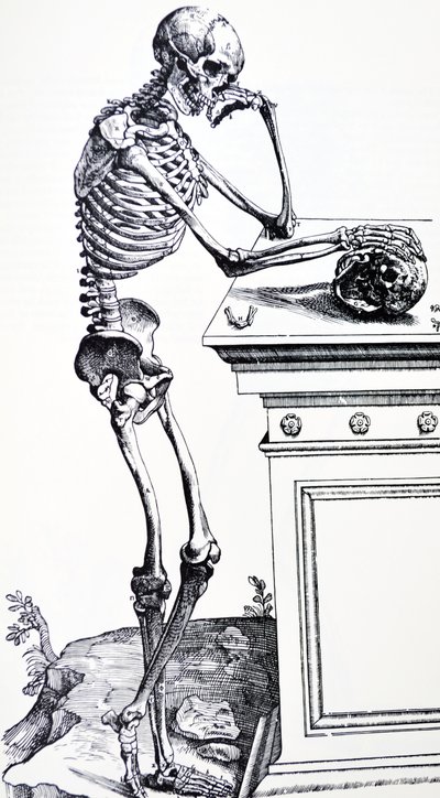 Menneskeskjelett med hodeskalle i hånden. Fra "De Humani Corporis Fabrica" av Vesalius. Mulig vedhogger: Jan von Calcar av Andreas Vesalius