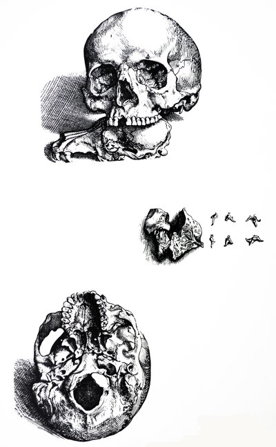 Platene fra den første boken til De Humani Corporis Fabrica av Andreas Vesalius