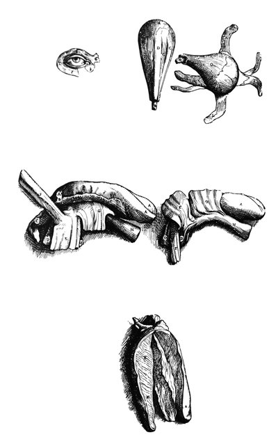 Platene fra den andre boken til De Humani Corporis Fabrica av Andreas Vesalius